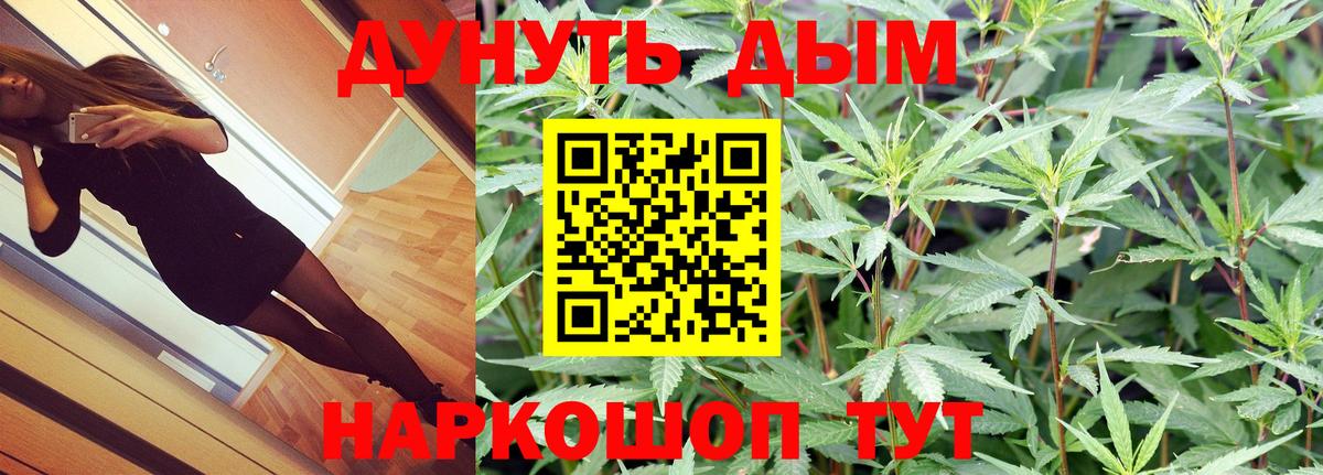 Оренбург  Конопля конопля  Бошки марихуана тримм  Бошки Шишки планчик  Вход с VPN 